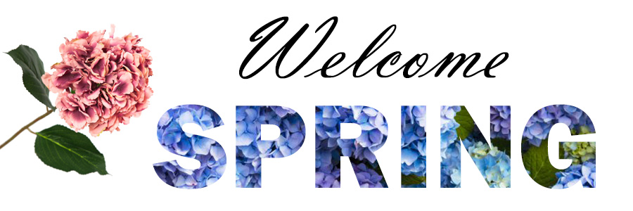 WELCOME SPRING